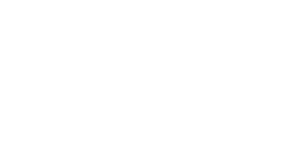 Circus Brother